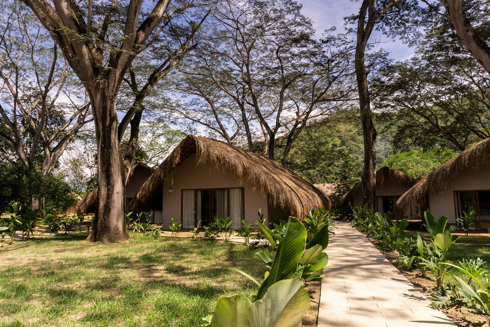 Holistic Eco Hotel — bungalows entre árboles